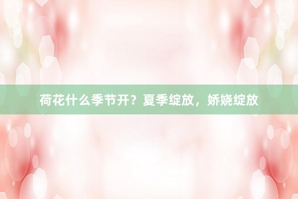 荷花什么季节开？夏季绽放，娇娆绽放